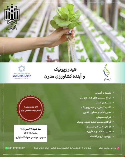 هیدروپونیک و آینده کشاورزی مدرن