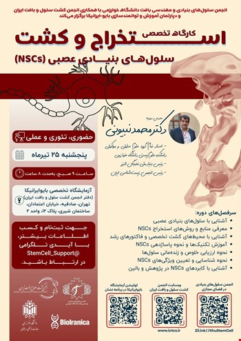 دوره جامع و عملی استخراج و کشت سلول‌های بنیادی عصبی (NSC) با مدرک معتبر