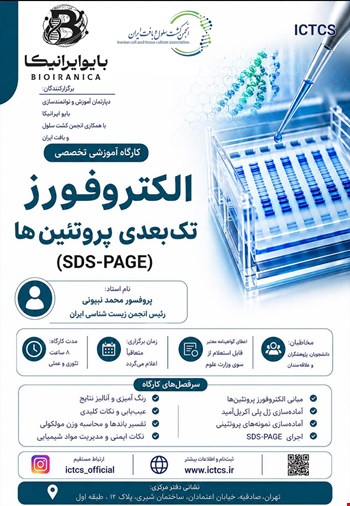 الکتروفورز تک‌بعدی پروتئین‌ها  SDS‑PAGE