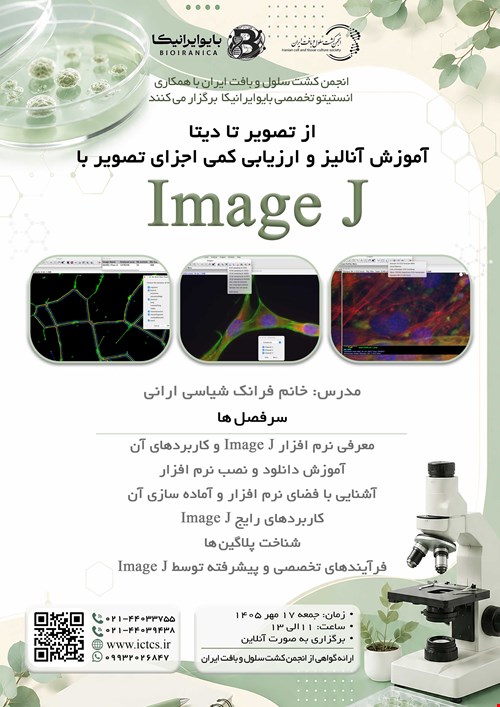 از تصویر تا دیتا: آموزش آنالیز و ارزیابی کمی اجزای تصویر با Image J