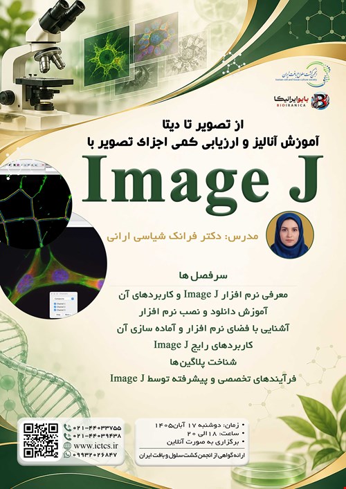 آموزش آنالیز و ارزیابی کمی اجزای تصویر با Image J